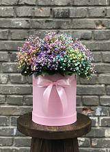 Цветочная композиция из Гипсофила и Розы в шляпной коробке #REPLACE_PRED# Воровсколесской