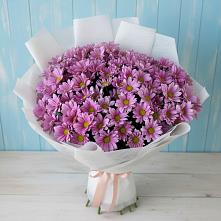 Букет цветов из:  Хризантемы #REPLACE_PRED# Воровсколесской