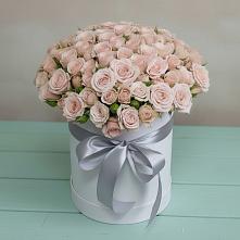 Цветочная композиция из Розы в шляпной коробке #REPLACE_PRED# Воровсколесской