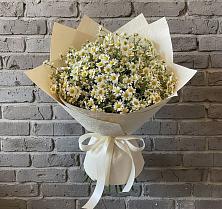 Букет цветов из:  Ромашки #REPLACE_PRED# Воровсколесской