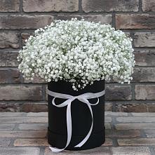 Цветочная композиция из Гипсофила в шляпной коробке в Воровсколесской
