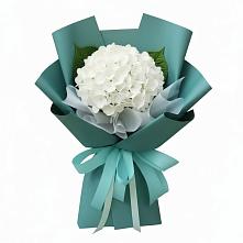 Букет цветов из:  Гортензия #REPLACE_PRED# Воровсколесской